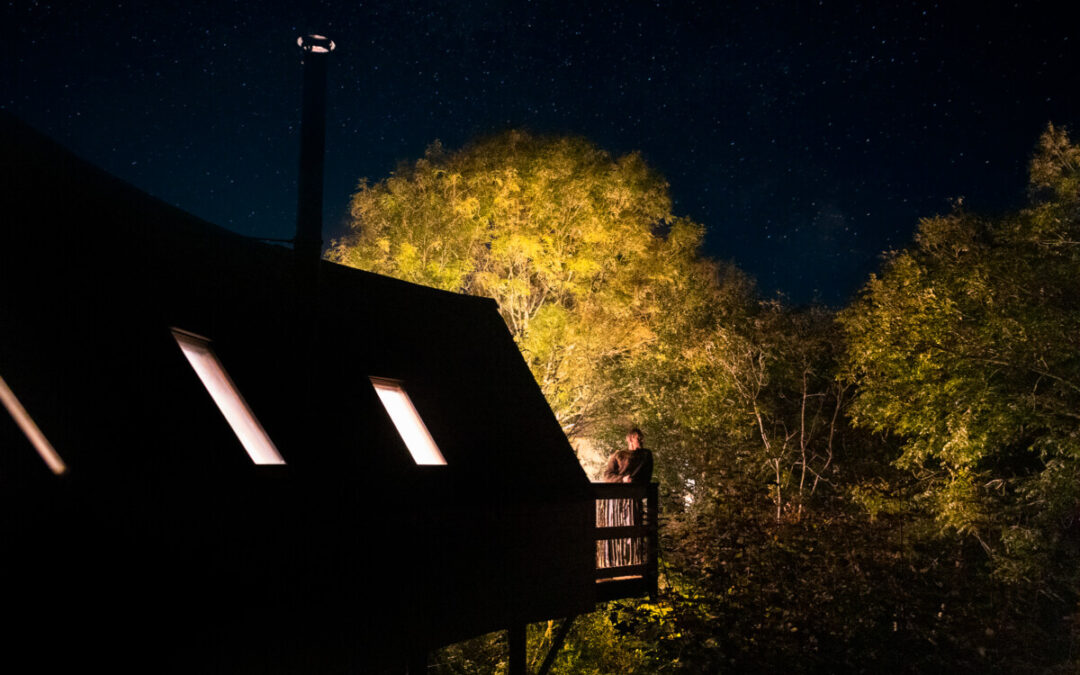 How to Actually Relax: A Slow-Living Guide from the Woods