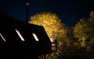 How to Actually Relax: A Slow-Living Guide from the Woods