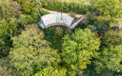 Why May Is the Perfect Time for a Cornwall Treehouse Escape