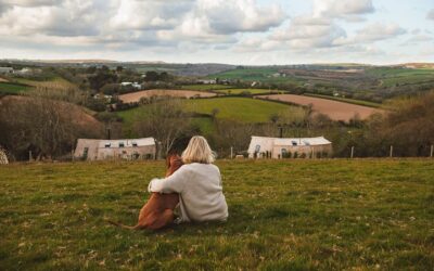 Enjoy a Unique Treehouse Stay in Cornwall