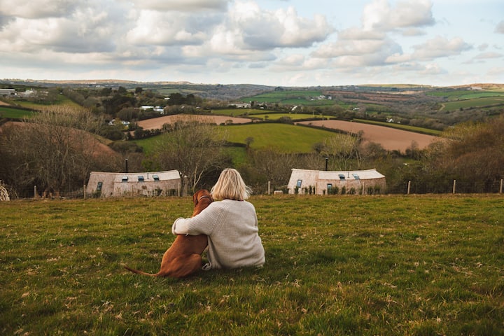 Enjoy a Unique Treehouse Stay in Cornwall